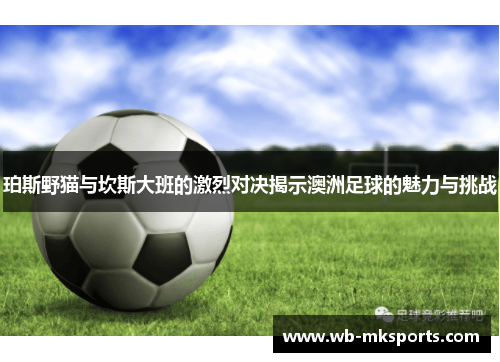 珀斯野猫与坎斯大班的激烈对决揭示澳洲足球的魅力与挑战